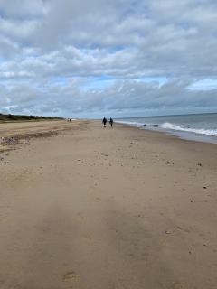 Fabulous beach walking, and no rain!
